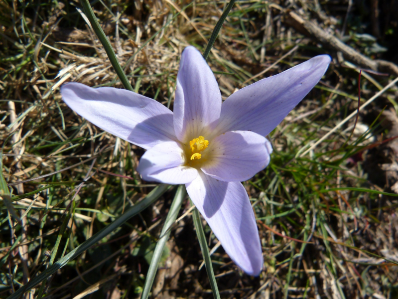 77909730f5407d42a9a2a917157e5707