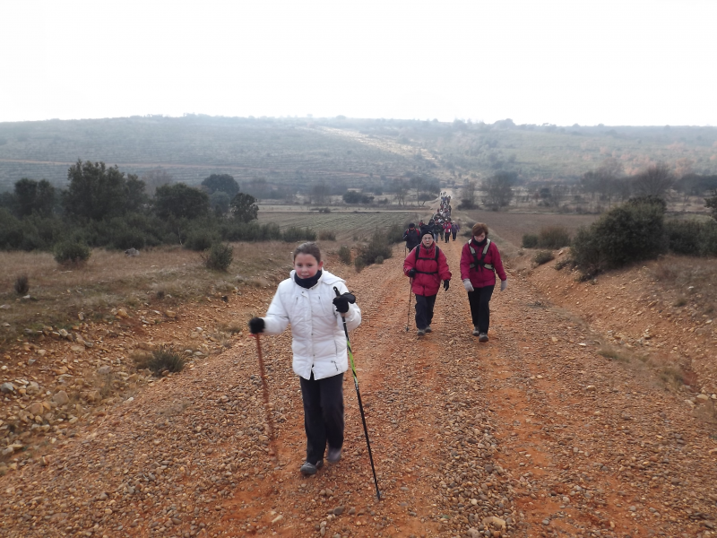 7b43ea8a8c0d00b92a4fbbeeaabe1e20