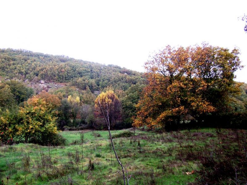 7ca108cbb46c277140c65381a782cf2c