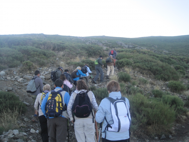 7ce916038e14485603106cdc174860d9