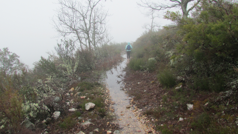 7d76ac7669b174fff4f1100fdc5db3cd