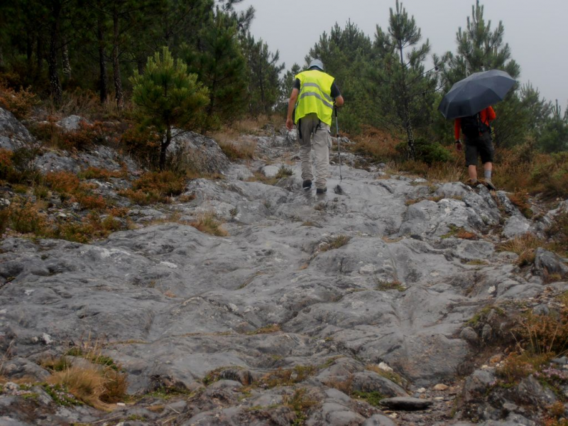 7e837b9c85b9af9316ba9f5b7f05828a