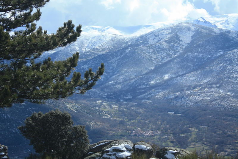 850554636408abe6f9a5d53b8b48c504