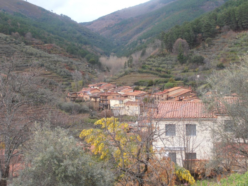 86c46722980618d7bf71eabb0dc718c0