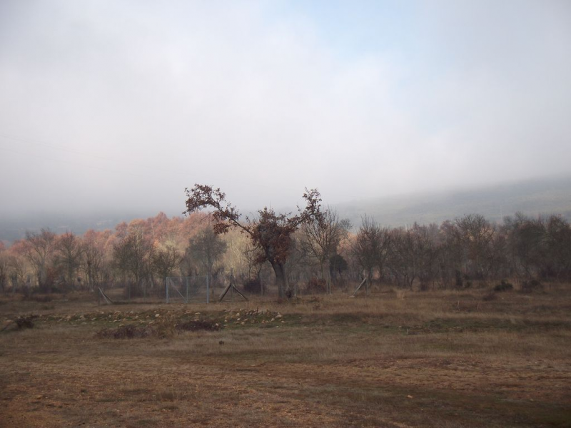 86e53f852e4c85a831882a23f1db51bd