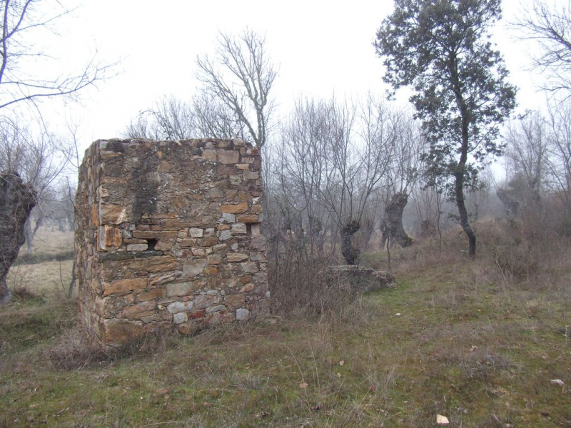 8738efd0eae0f38f4caaf6e572048714