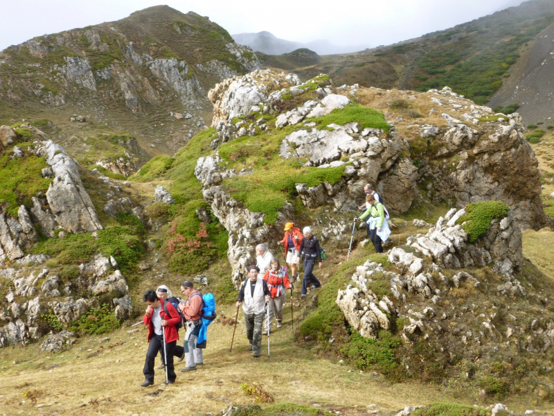 894f6f2c1c8d5172a16bd827a3f76880