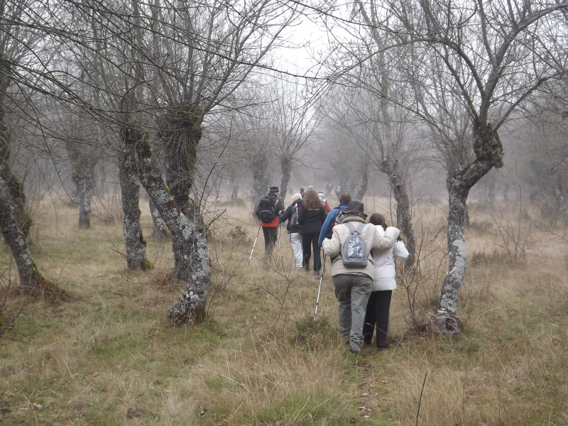 8b0169013e70d3598242b224fe87258b