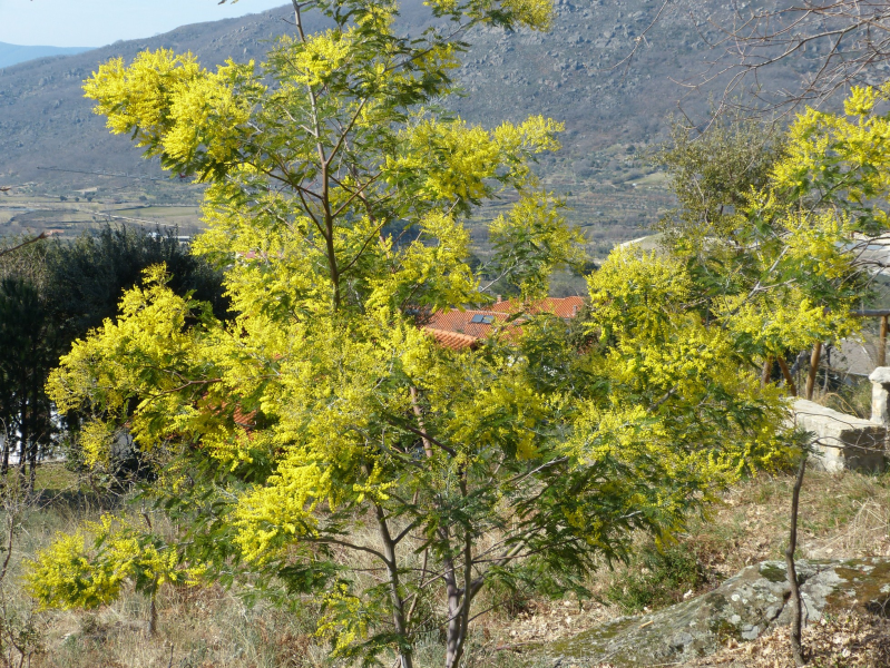 8bb6da96389adc8048b956cd6eee7f68