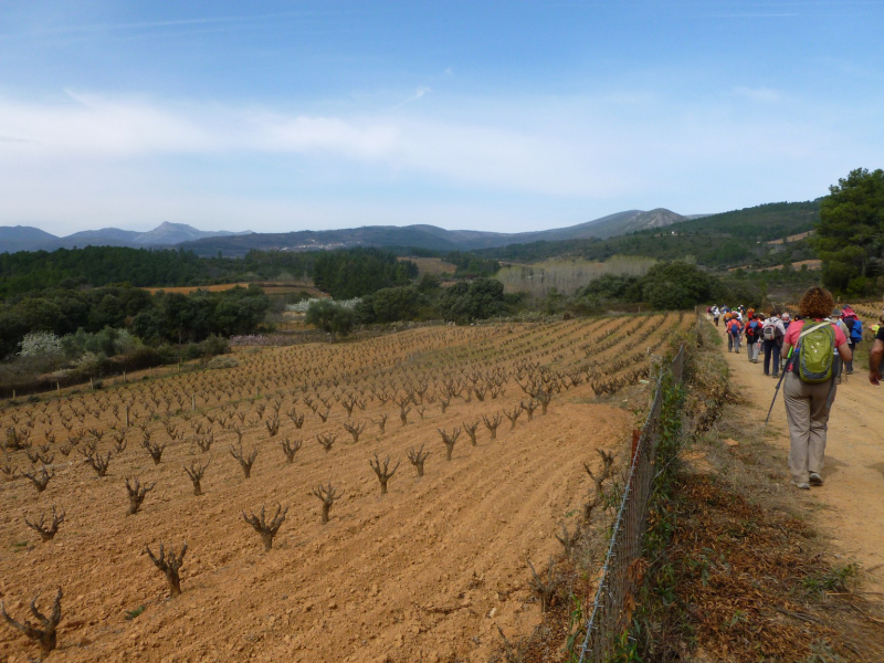 8f92973d96f5a4c7551bf371895be709