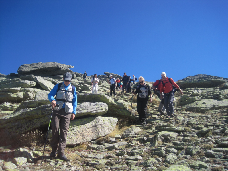 8fb660d8250ccb91dabcfe7f07d06f3a