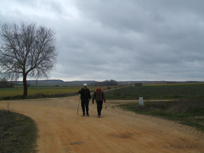 90d6cef873d23962a8a1f606b4bfa715