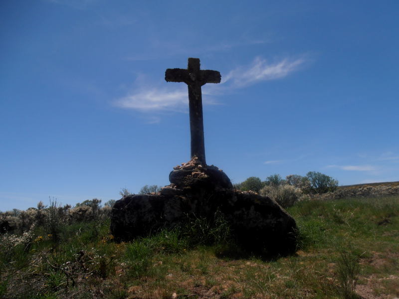 91a69a5534741349506a3bb56ffbeb02