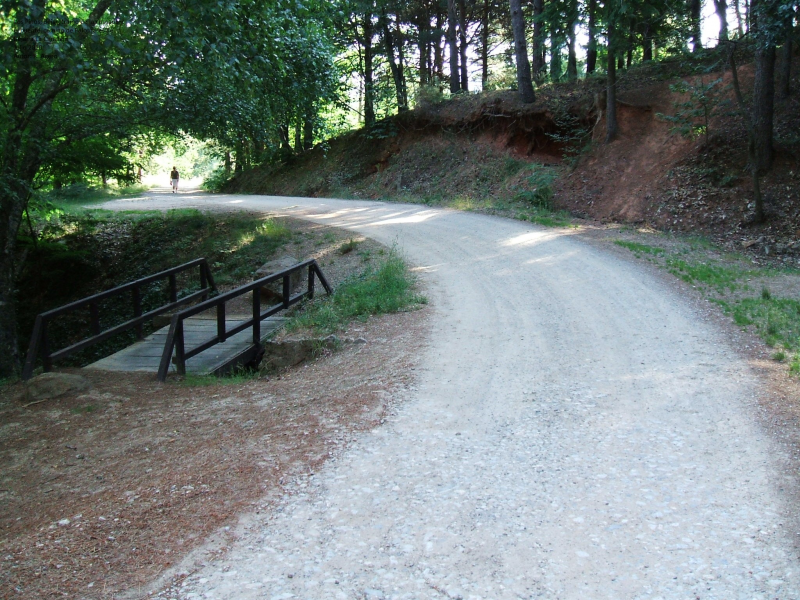 921369df284d0a9447552e91a1ca493f