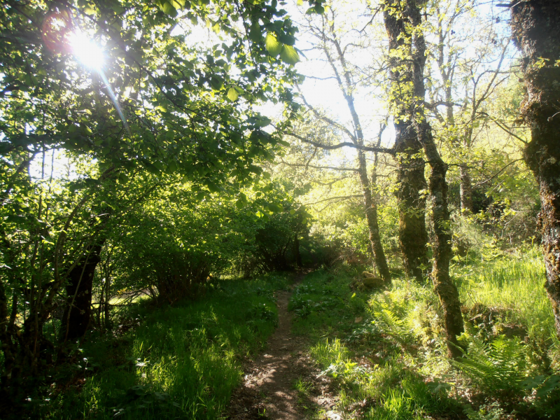 92729c5ca00712857dca03f13c32e5bf