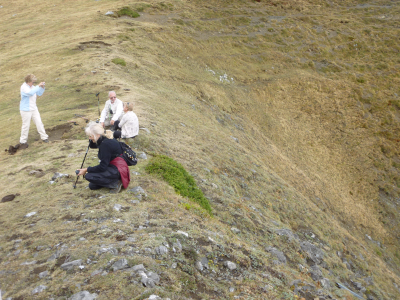 929da063ef9dd6b08e1881d0422397be