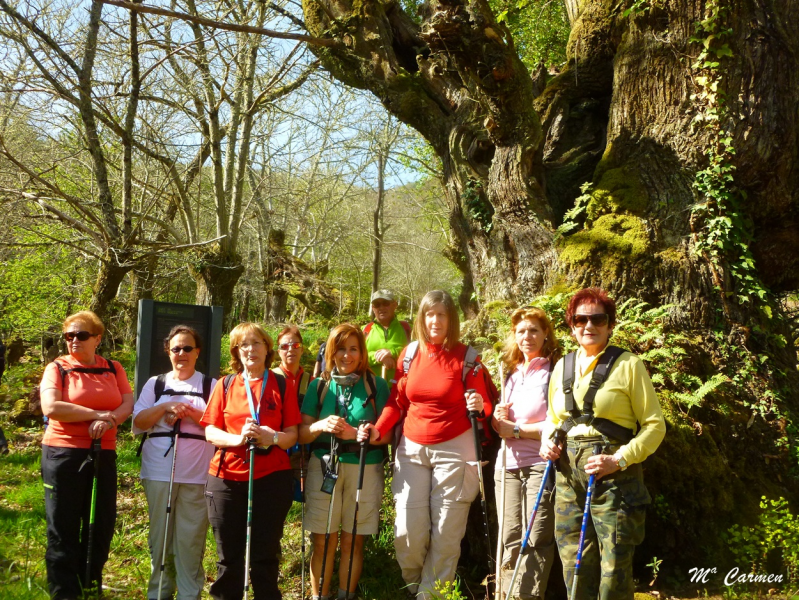 96bda2915adcff0fea8726f733d01ff9