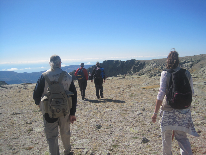 985b3d98ef16c2b57af69a93ce1248d9