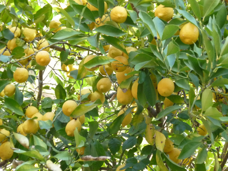 9a8948d916c8567eb7459ac73628bf69