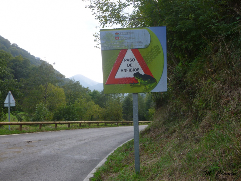 9b3e8aa924aa3a1271c770283dd791d0