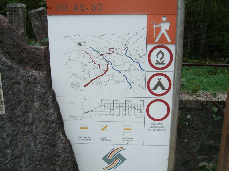 9bdc528715dc53cd417082efbfc5da59