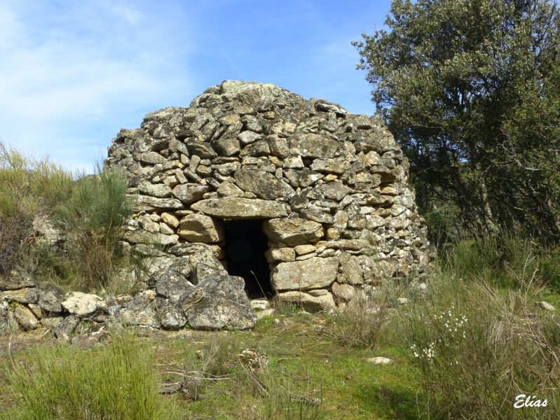 9ea9232ed92553351ffce8e252afa065