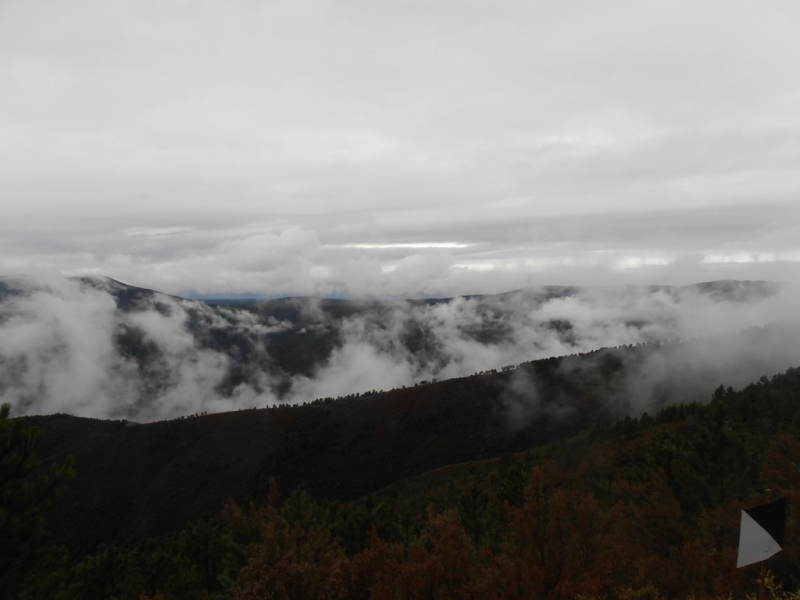 A5c1c050eb05dce4c6b436db7e819940