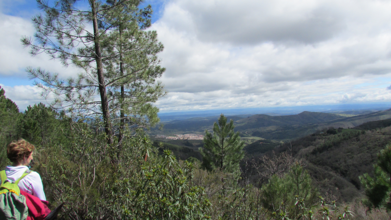 A6b7343a40620d2d00bd5241903ddfea