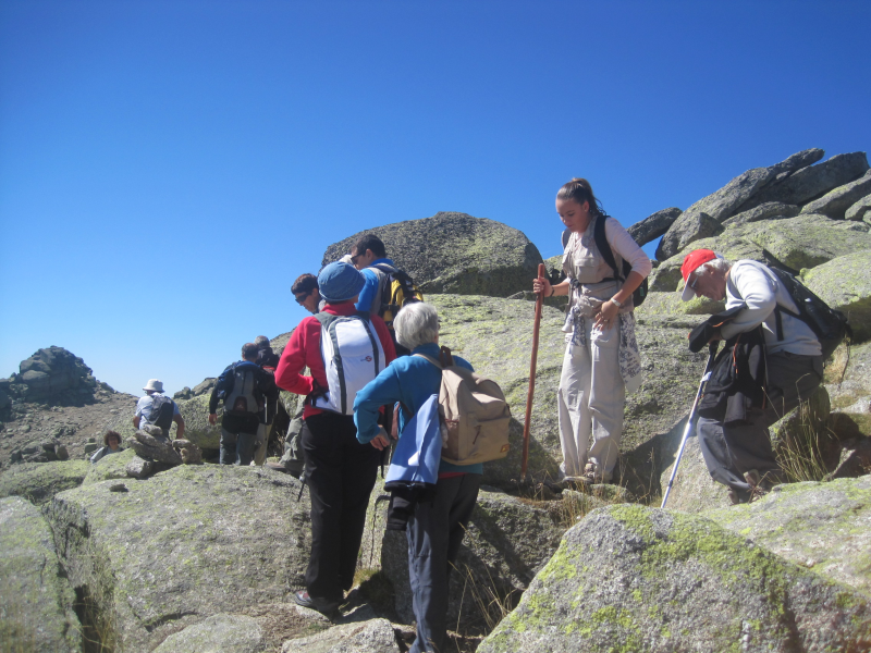 Acc6636404f66bb3b0f45474d4270ba8