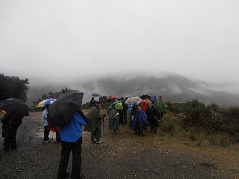 Af75a03ce1463c05103cffb114cbbfd1