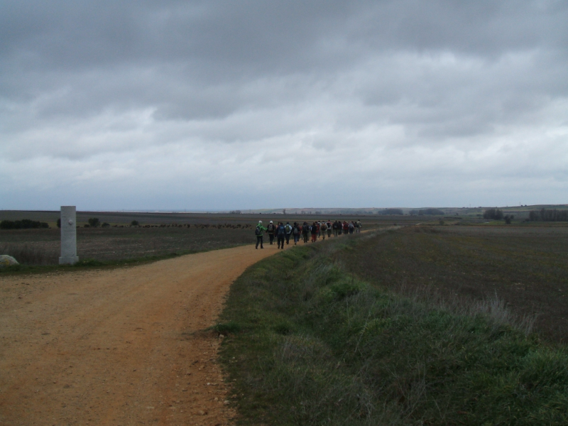 B0f24db11e0d4c9df903a7027361b1e9