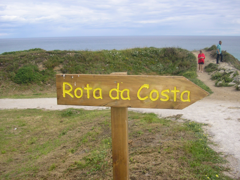 B36131020592caab6ce92d42dd496ca1