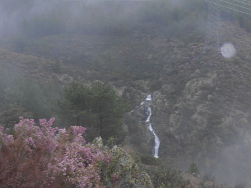 B7757b4ee2c6d35bc17c43ff76692f22