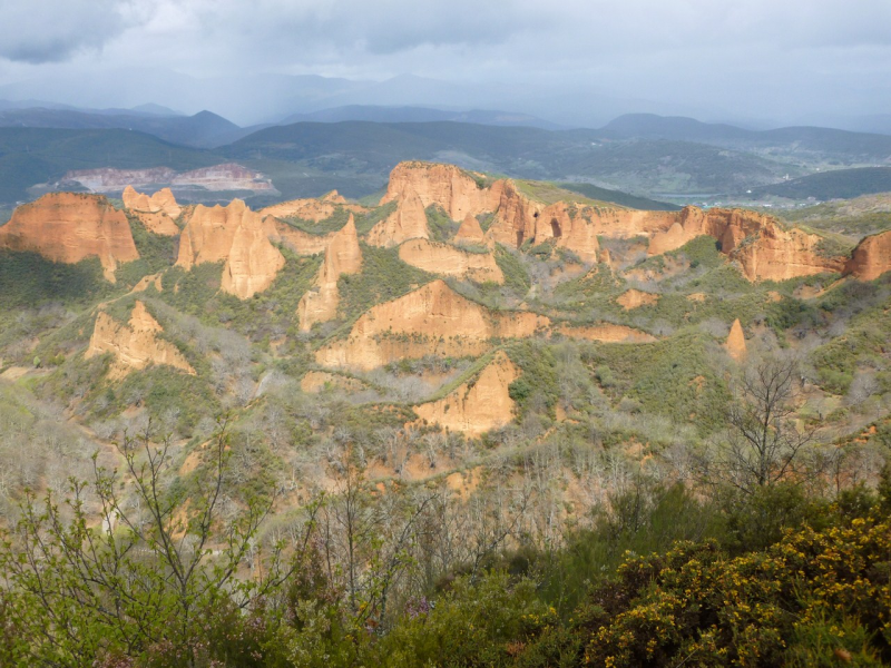 B781dfb61b6039a3b683271a656886ae