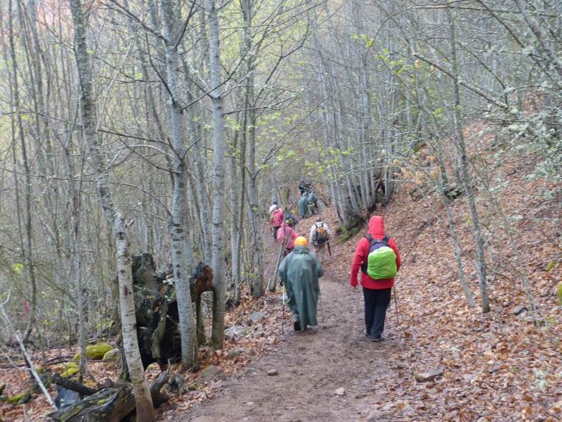 Bcafe87a03853d40cc5f0abe17fe91db