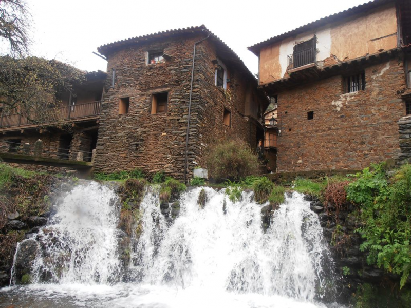 Bf425b8be5457a67766e543839ce33af