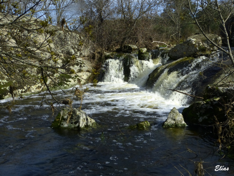 C06e65997e9deff77c5ca26347d88c26