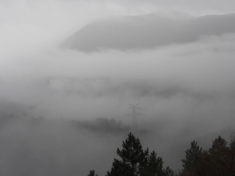 C37e6919a348265882ece5c876b32348