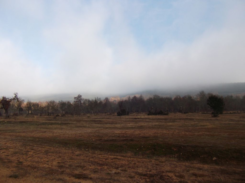 C38b49048baec6c11297075b933b26bd