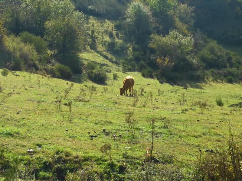 C56344c20860279827574748d575f964