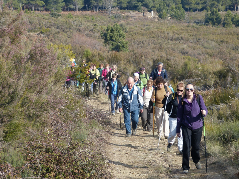 C816e65885308b1273d3ec1185d9b5cb