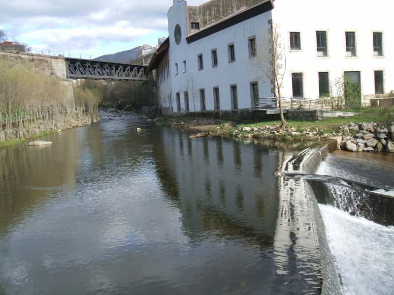 C884a731ec782559ffb7415e9a1f2778