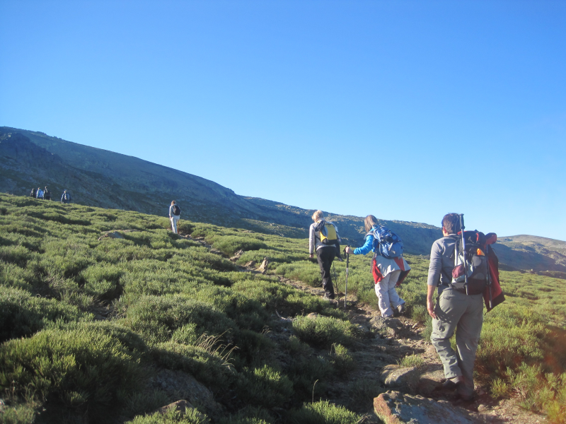 Cb5a98443b0d83bdea3b92fe9c53cde7