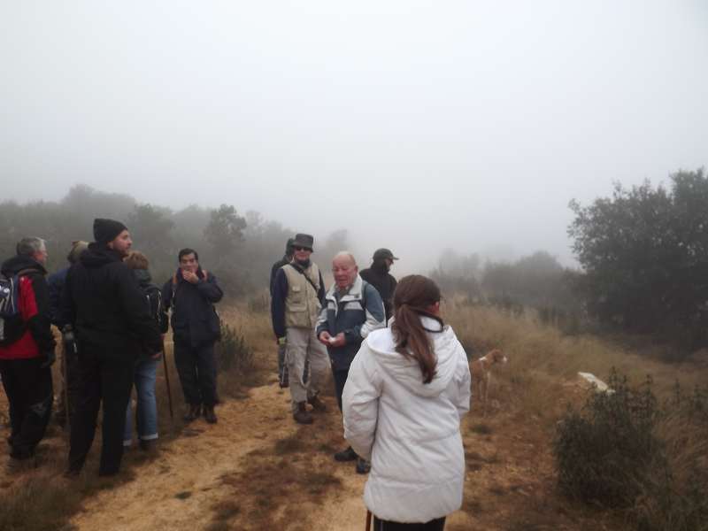 Cdb8a04ac310fed91eaf0734bc76c30d