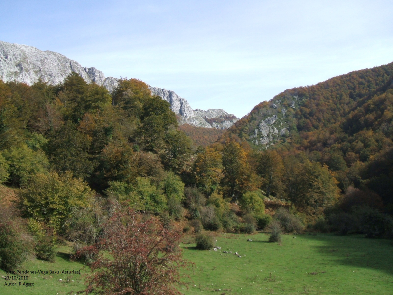 Cf55bd5076fc9922a74b38fc1e676364