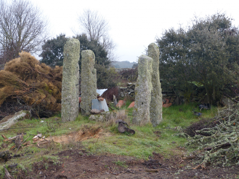 Cfbf848696c33abfd56fdf65a7807303