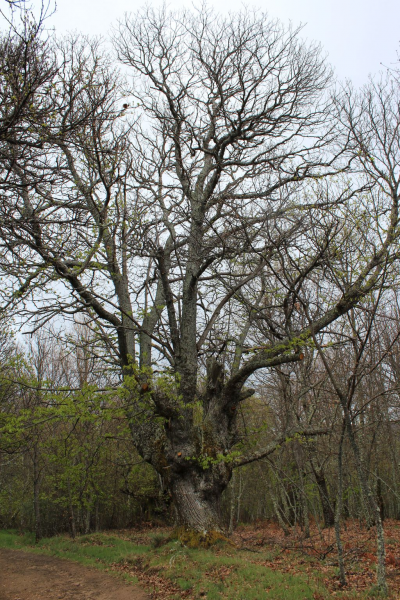 D0ceb21ccfb16bde842f2114205de115