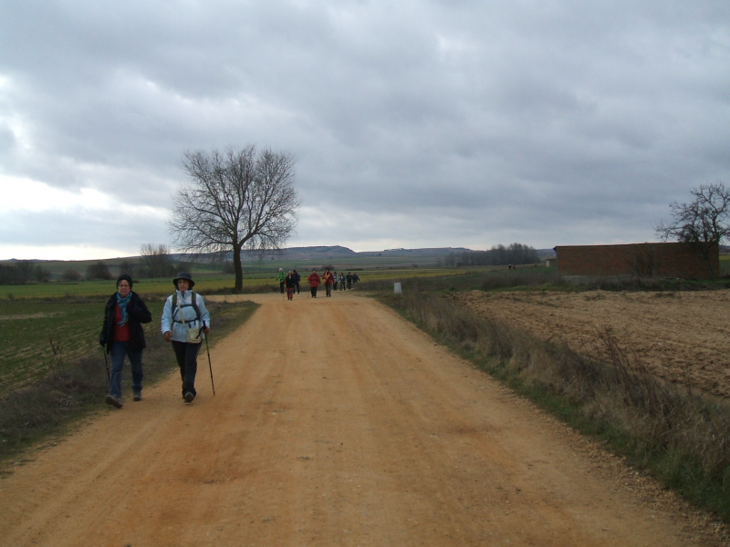 D18b5c2bed66391f891cf26d9f19e2ea