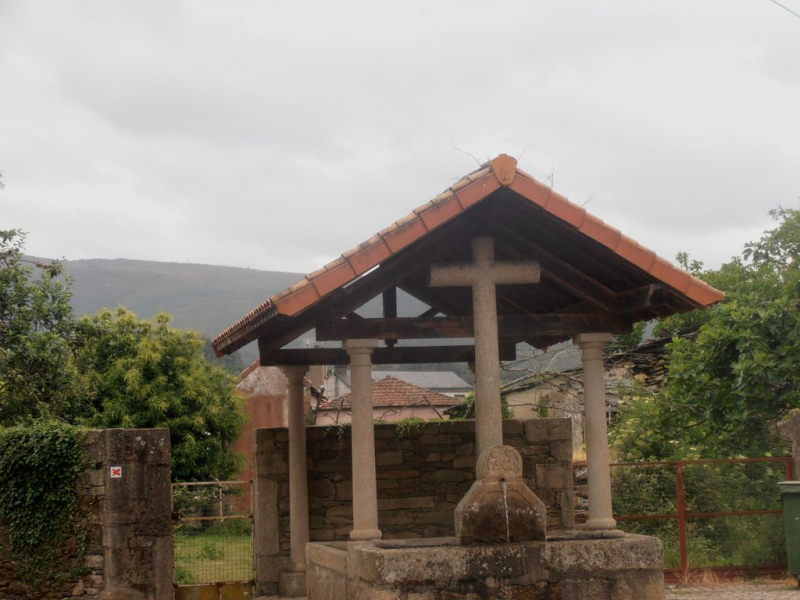 D22e59eb012c045a7531650efebdf722