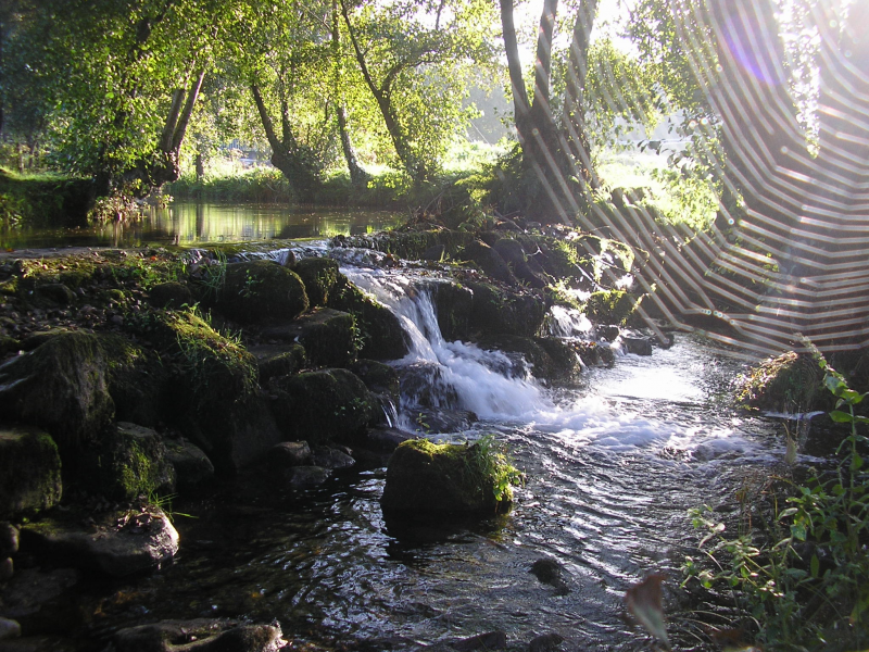 D44ec64781a9eb7419beb6c5897ecb28